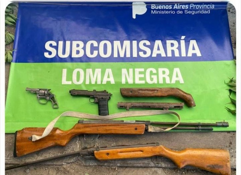 Armas y plantas de marihuana secuestradas en un allanamiento